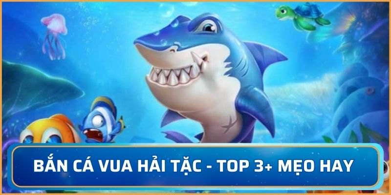 Bắn cá vua hải tặc
