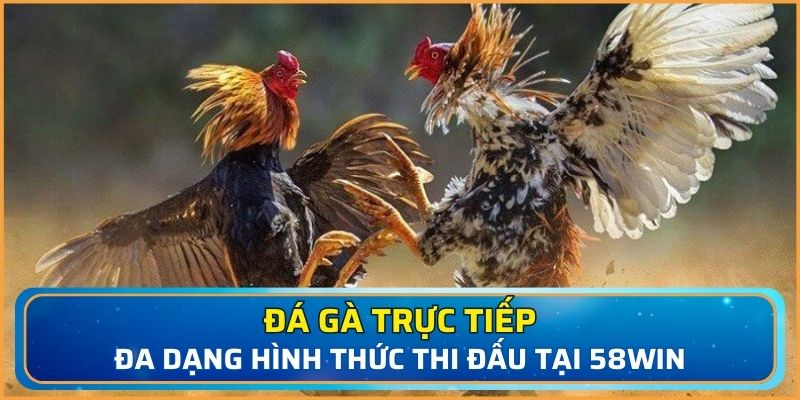 Tổng hợp các hình thức thi đấu hấp dẫn cho bạn tham gia