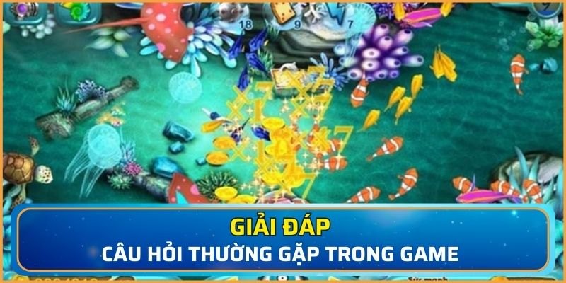 Hé lộ những thắc mắc mà hội viên gặp phải
